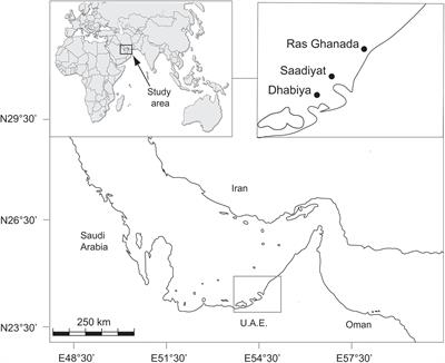 Coral Bleaching in the Persian/Arabian Gulf Is Modulated by Summer Winds